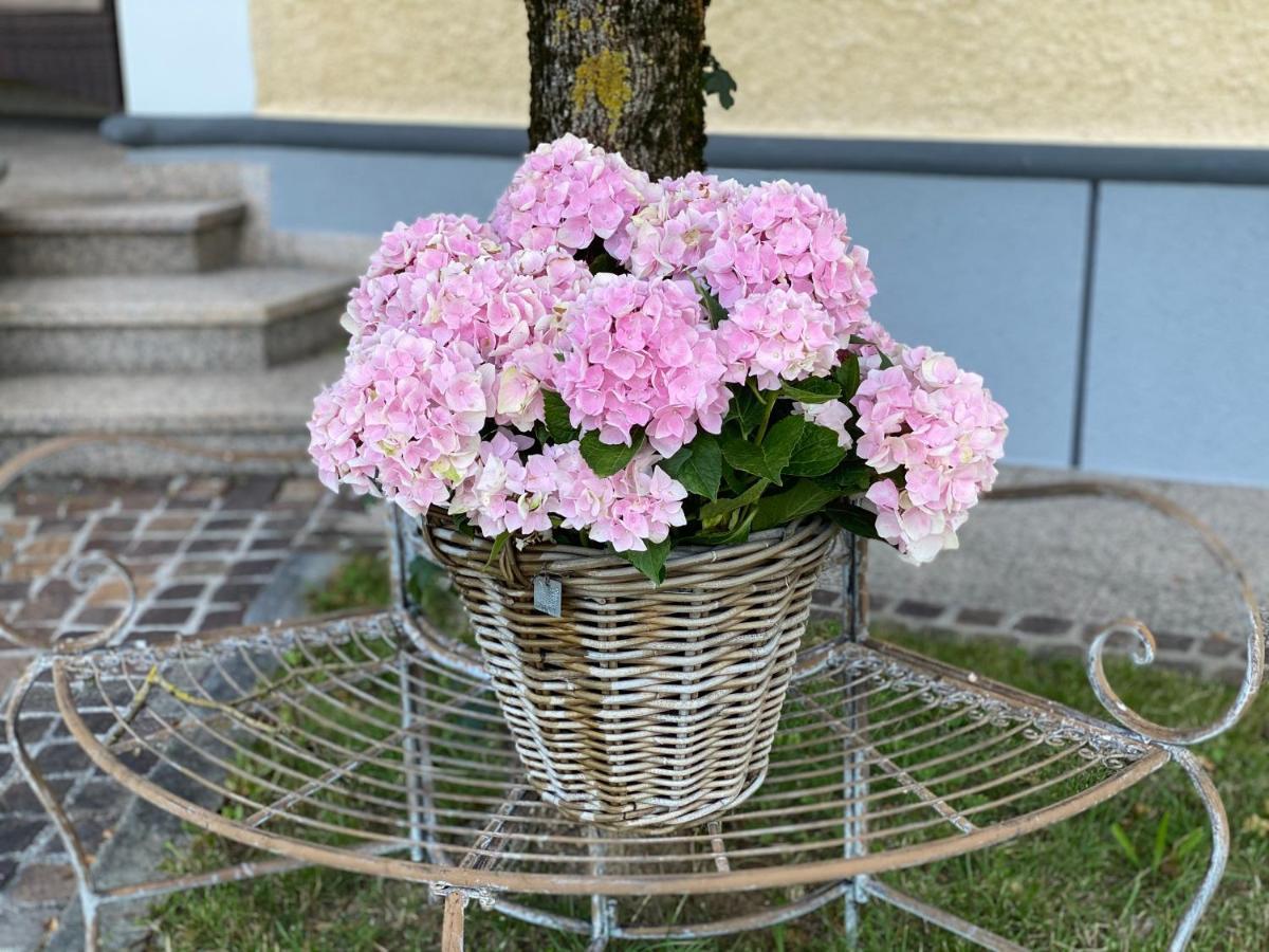 Almtalhotel Appartements In Pettenbach Esterno foto